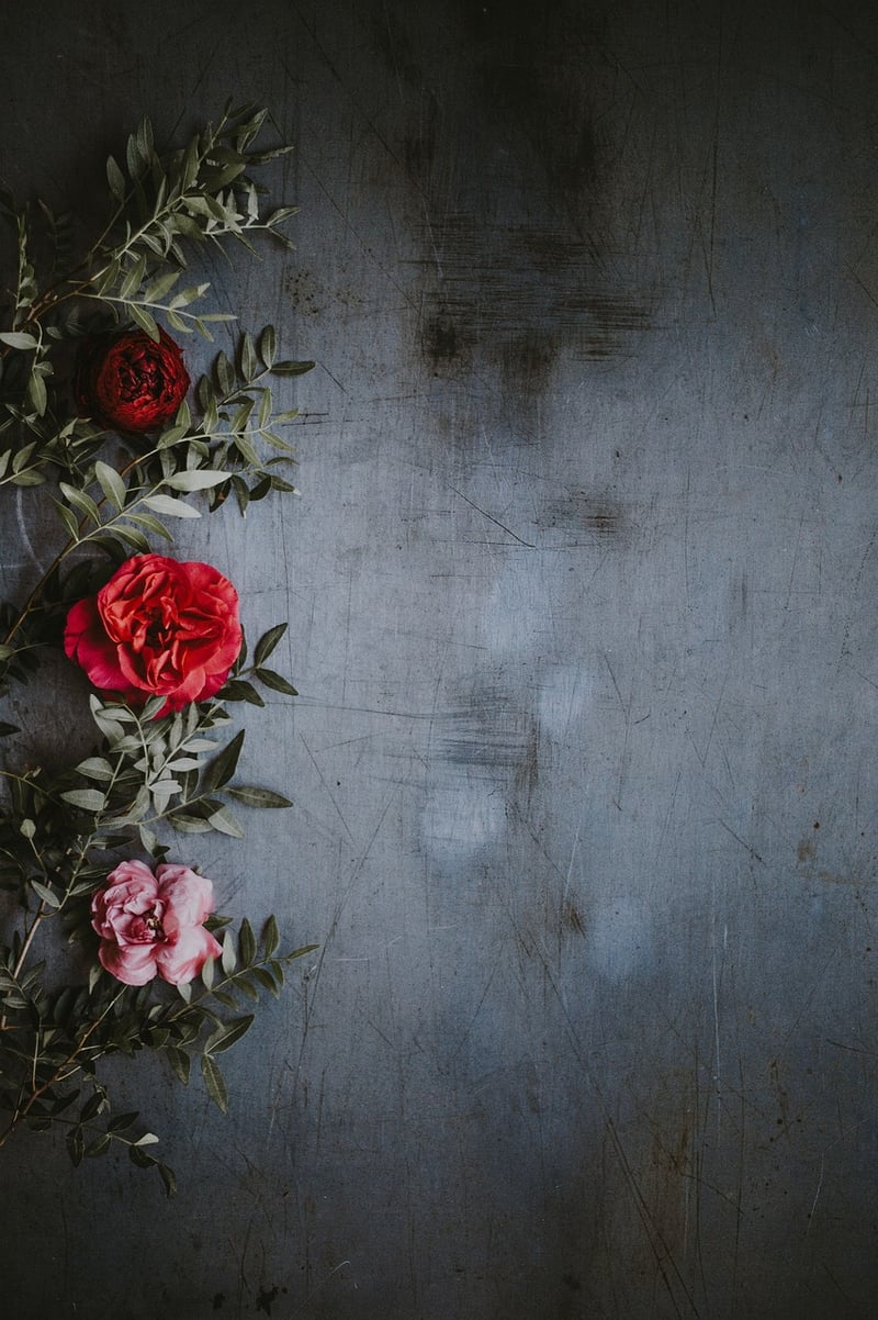 Aesthetic Arrangements
